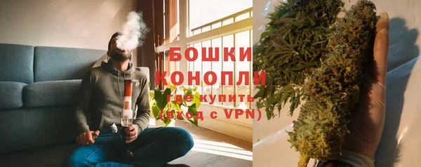 прущие грибы Дмитровск