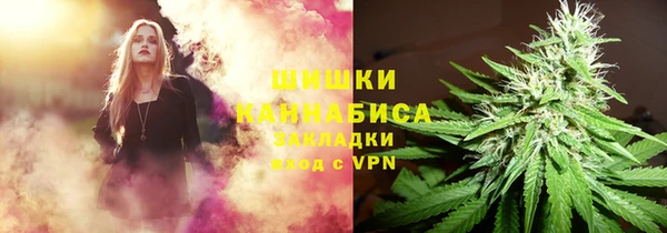 ПСИЛОЦИБИНОВЫЕ ГРИБЫ Дмитриев