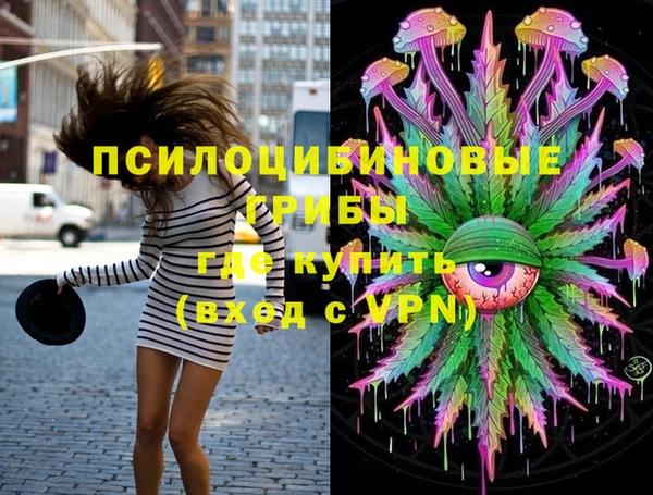 гашиш Дмитров