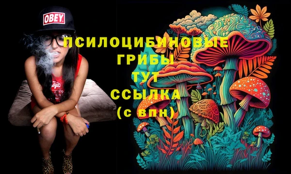 ПСИЛОЦИБИНОВЫЕ ГРИБЫ Дмитриев