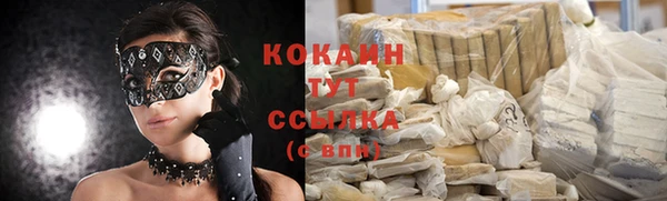 ПСИЛОЦИБИНОВЫЕ ГРИБЫ Дмитриев