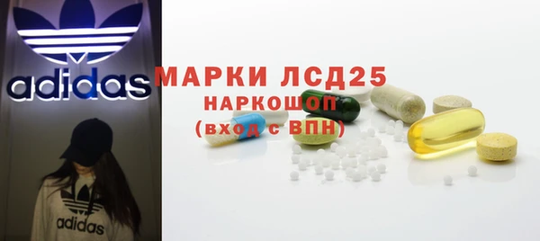 прущие грибы Дмитровск