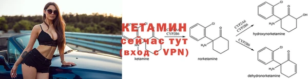 ПСИЛОЦИБИНОВЫЕ ГРИБЫ Дмитриев