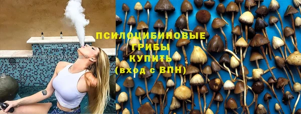 гашиш Дмитров
