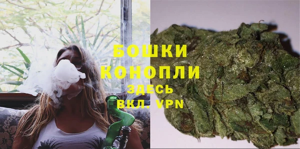 прущие грибы Дмитровск