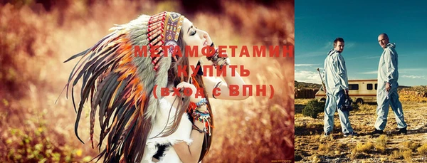 прущие грибы Дмитровск
