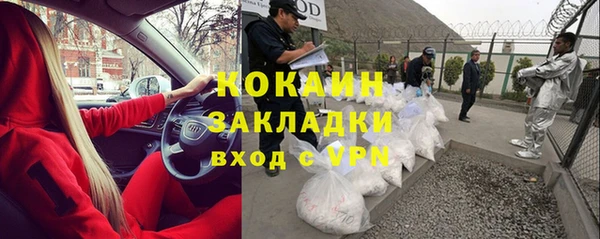 прущие грибы Дмитровск