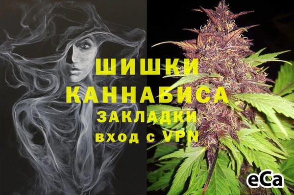 прущие грибы Дмитровск