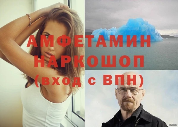 ПСИЛОЦИБИНОВЫЕ ГРИБЫ Дмитриев