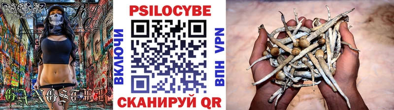 Псилоцибиновые грибы мицелий  Купить  Корсаков 